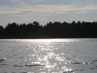 img_5180.jpg